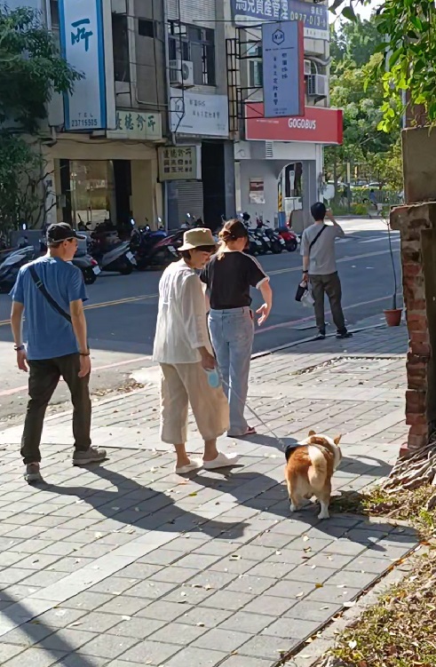 corgi with the owner