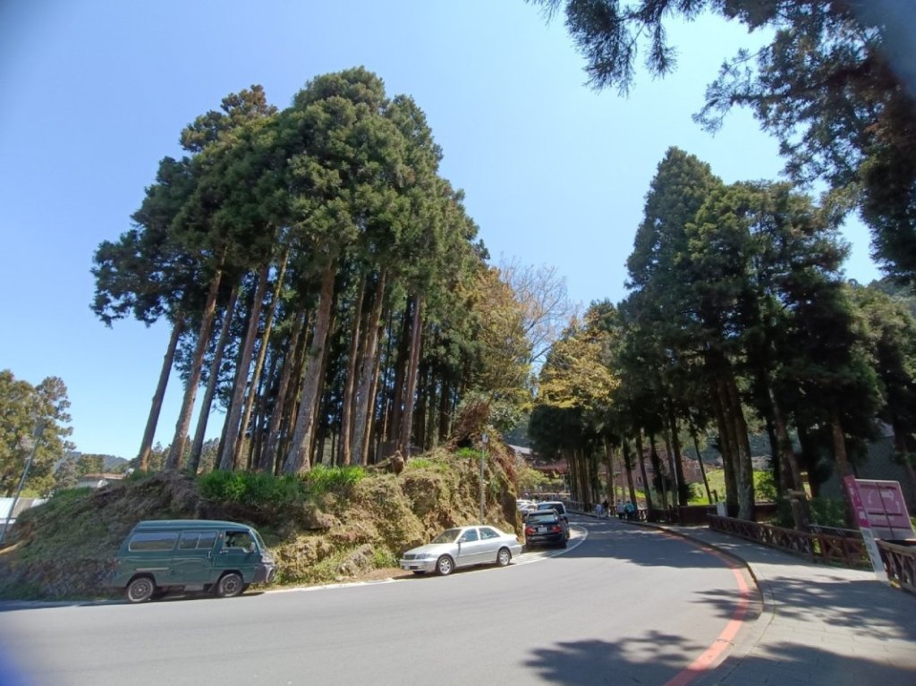 roadside view at Alishan