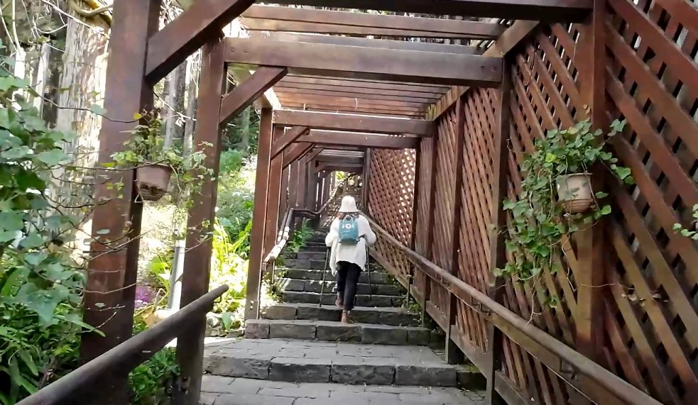 walking up from hotel area to service area and train station area at Alishan national park