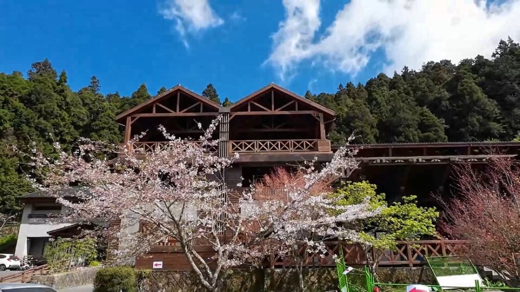 Alishan train station in spring with sakura tree