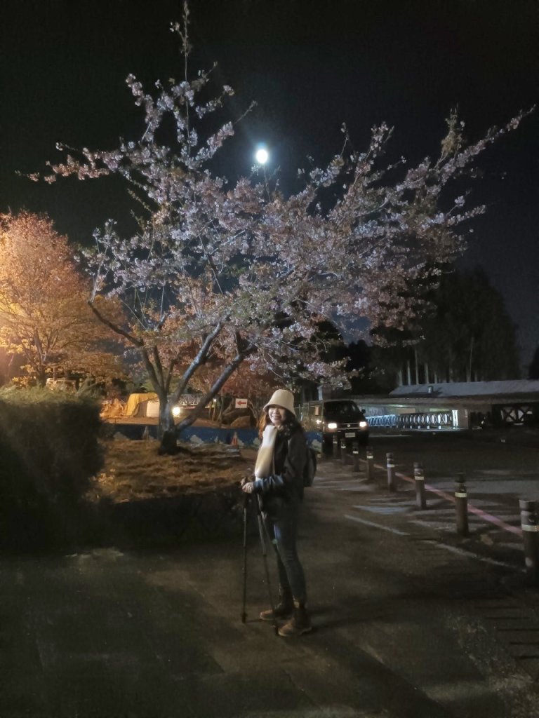 preparing for trekking session before sunrise. There is a full moon and sakura blossom in the background. Location: Alishan national park