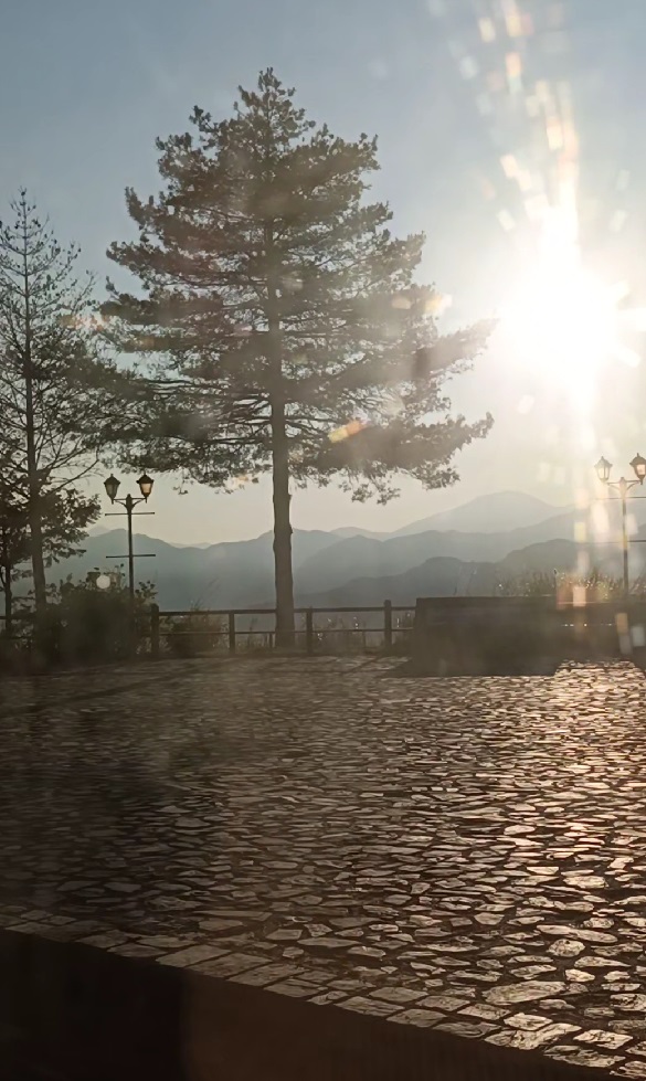 Alishan national park scenery in the early morning