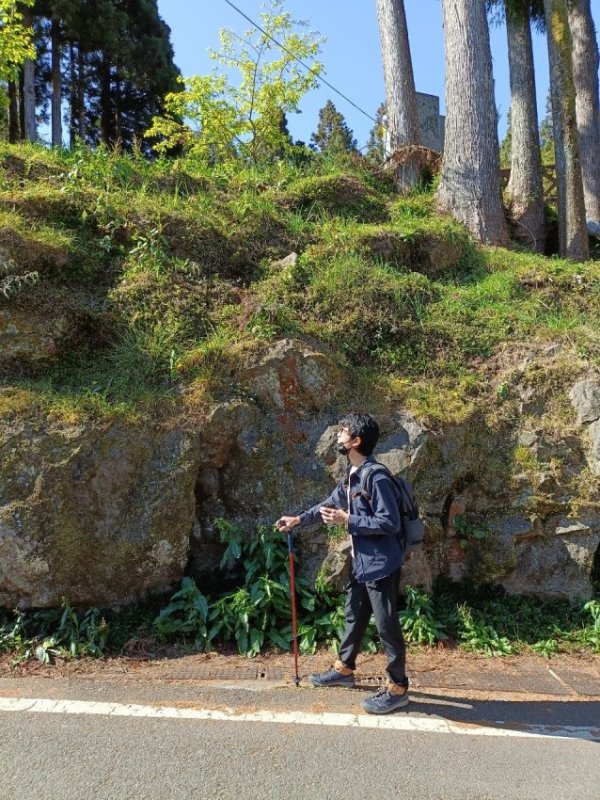 Alishan national park scenery in the early morning 