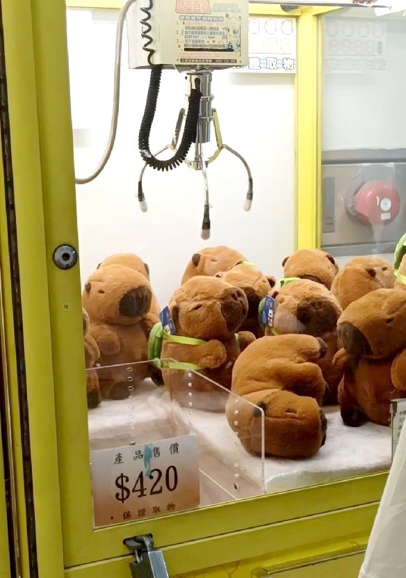 claw machine and capybara dolls