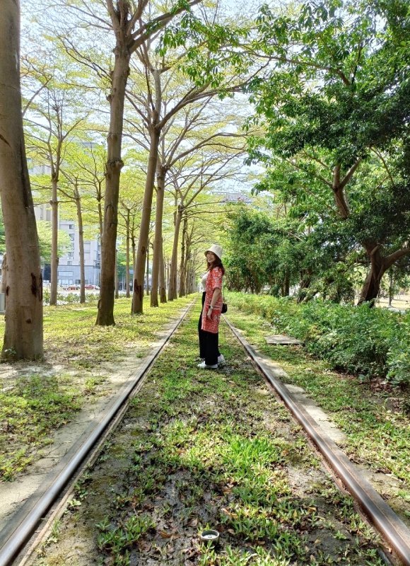 totoro tunnel (tree tunnel)