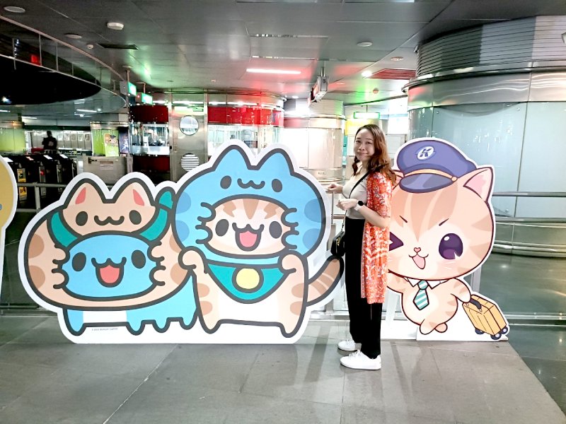 Bug cat standies in the MRT