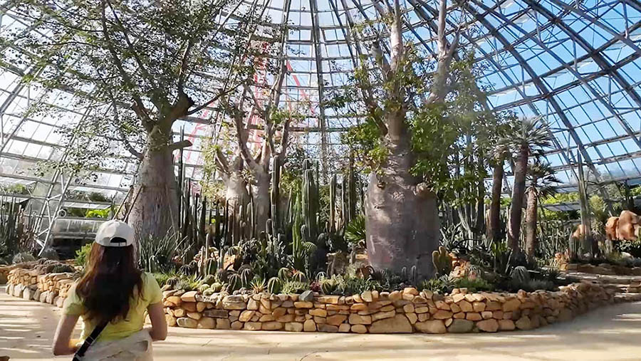 Garden at Vinwonders, Nha Trang, Vietnam ญาจาง เวียดนาม