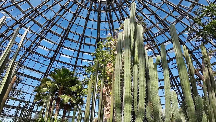 Garden at Vinwonders, Nha Trang, Vietnam ญาจาง เวียดนาม