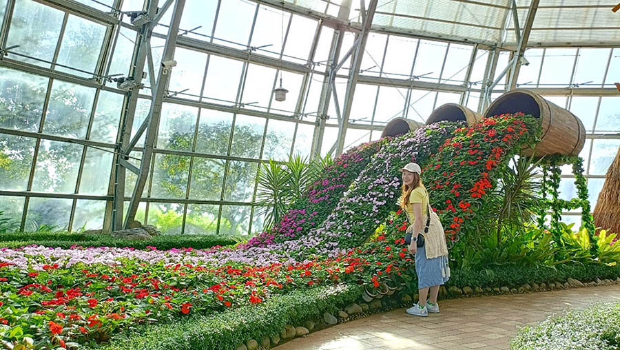 Garden at Vinwonders, Nha Trang, Vietnam ญาจาง เวียดนาม