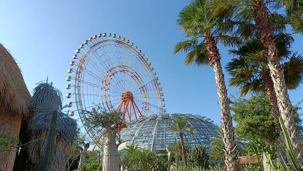 ferris wheel at Vinwonders