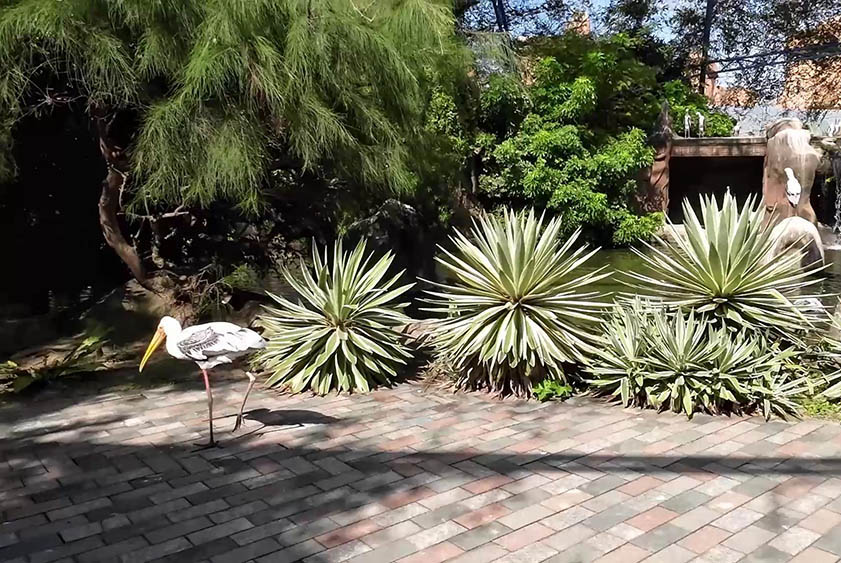 Zoo at VinWonders, Nha Trang, Vietnam ญาจาง เวียดนาม