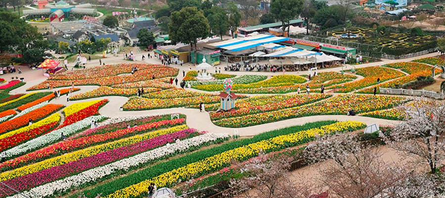 สวนดอกไม้ที่เฉิงตู Flower garden in spring at Chengdu, China