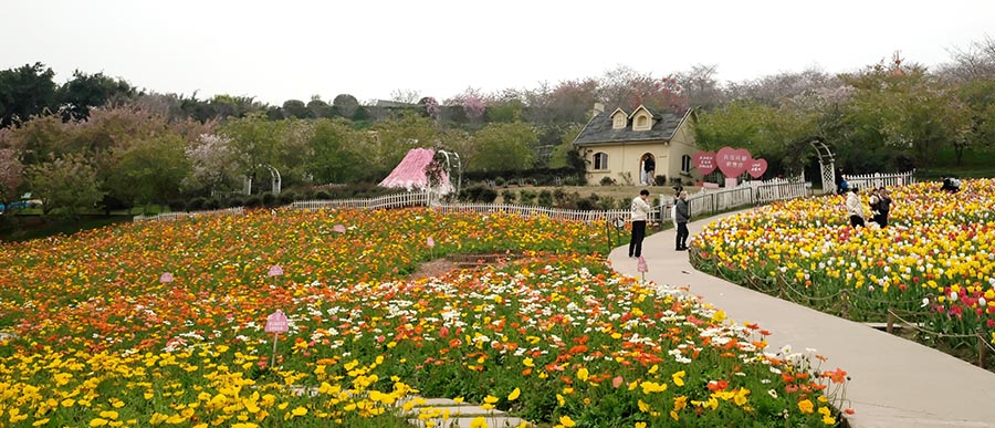 บรรยากาศ ดอกไม้บาน ในฤดูใบไม้ผลิ ที่ Manhua Manor เฉิงตู