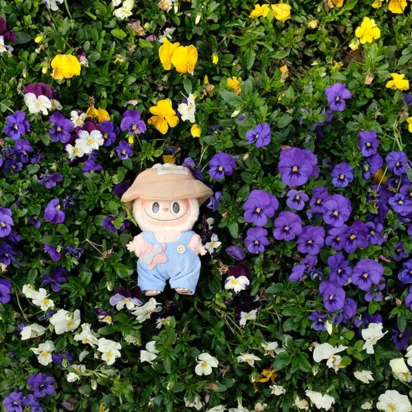 บรรยากาศ ดอกไม้บาน ในฤดูใบไม้ผลิ และ Labubu ที่ Manhua Manor เฉิงตู