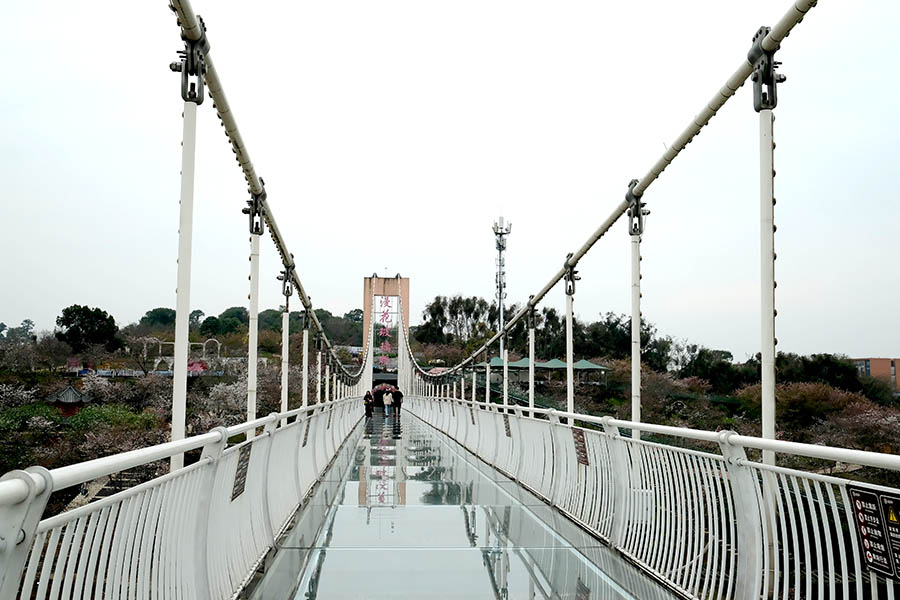 สะพานกระจก สำหรับขึ้นไปชมวิว ที่ Manhua Manor เฉิงตู