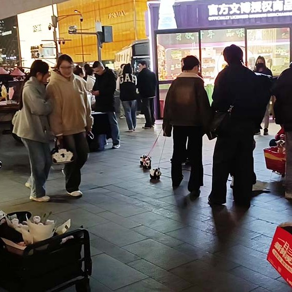 around Chunxi Rd. at night บรรยากาศยามกลางคืน Chunxi lu