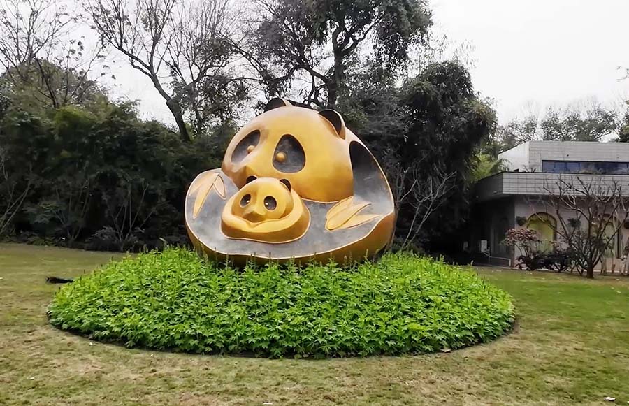 บรรยากาศภายใน ศูนย์อนุรักษ์หมีแพนด้าแห่งเฉิงตู Panda at Chengdu Research Base of Giant Panda Breeding