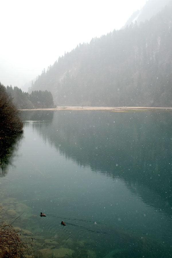 บรรยากาศหิมะตกที่จิ่วจ้ายโกว Arrow Bamboo Lake ทะเลสาบไผ่ลูกศร