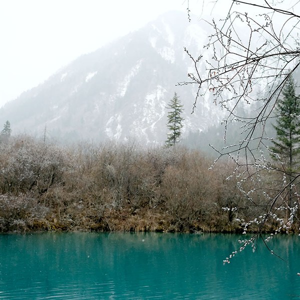 สระน้ำ ระหว่าง น้ำตกไผ่ลูกศร กับทะเลสาบแพนด้า