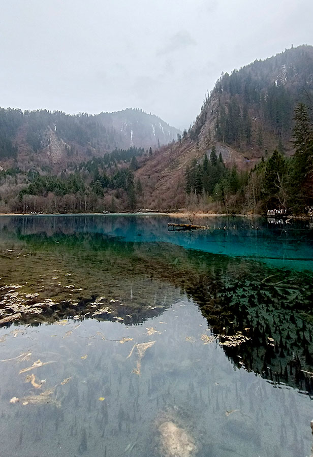 Five-Flower Lake ทะเลสาบห้าบุปผา จิ่วจ้ายโกว