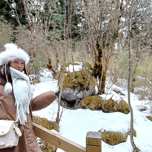 ฤดูใบไม้ผลิที่มีหิมะนุ่มฟู