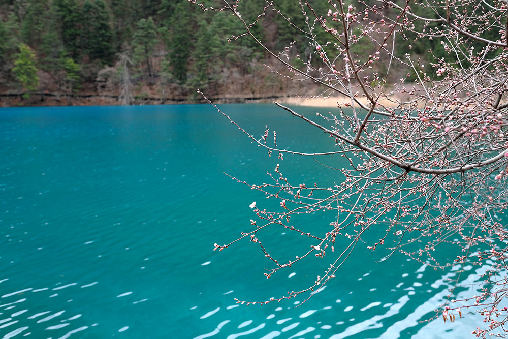 ทะเลสาบเสือ จิ่วจ้ายโกว