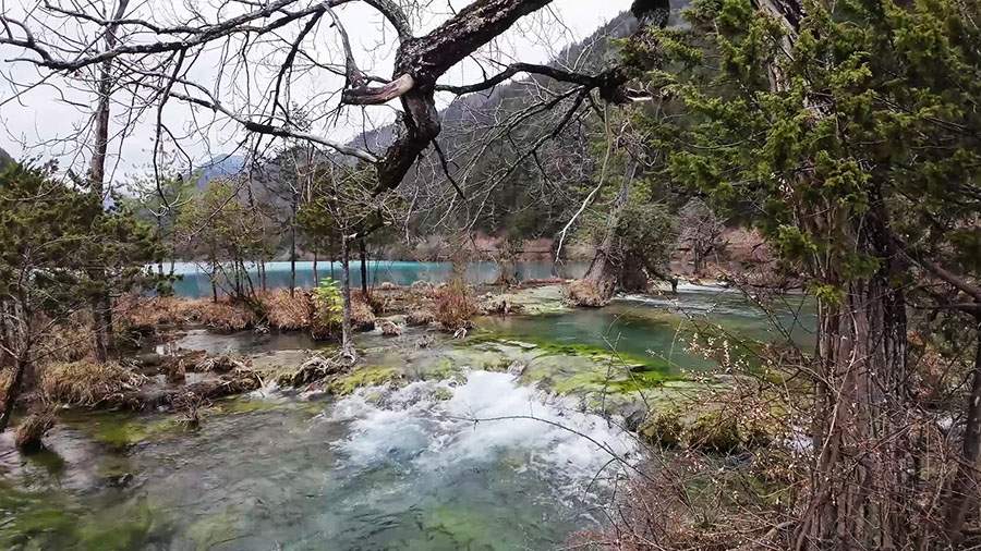 ทะเลสาบแรด จิ่วจ้ายโกว