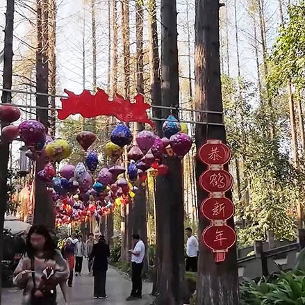 สวนประชาชน เมืองเฉิงตู มณฑลเสฉวน People's park, Chengdu, Sichuan