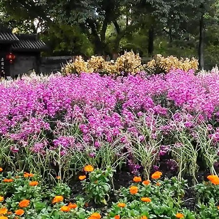 สวนประชาชน เมืองเฉิงตู มณฑลเสฉวน People's park, Chengdu, Sichuan