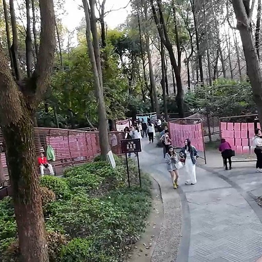 บอร์ดหาคู่ ที่สวนประชาชน เฉิงตู