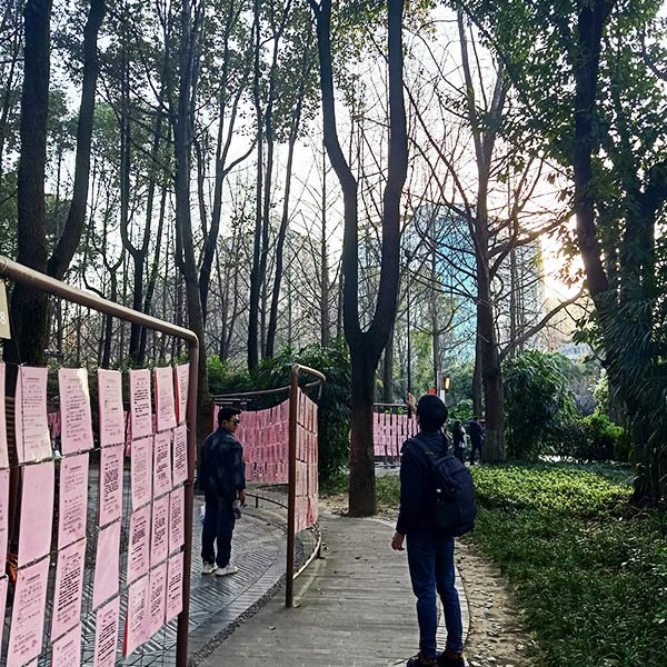 บอร์ดหาคู่ ที่สวนประชาชน เฉิงตู