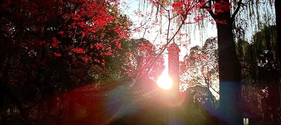 สวนประชาชน เฉิงตู people's park, Chengdu