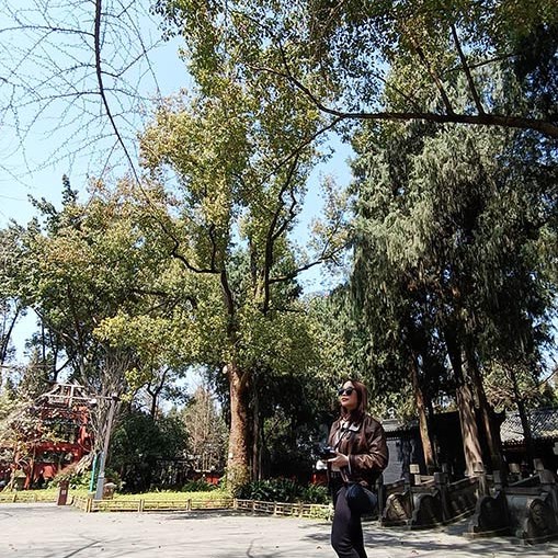 บรรยากาศร่มรื่น ภายในศาลเจ้า Wuhou