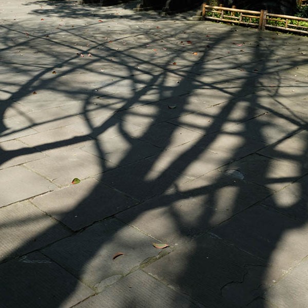 บรรยากาศร่มรื่น ภายในศาลเจ้า Wuhou