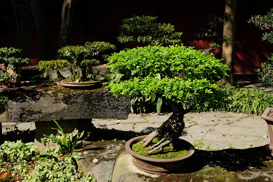 สวนขงเบ้ง