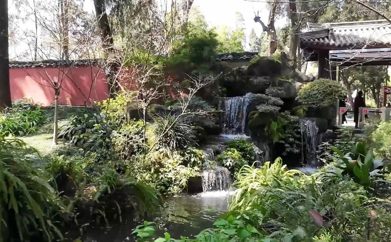 บรรยากาศภายในศาลเจ้าอู่โหว เต็มไปด้วยต้นไม้ร่มรื่น และน้ำตก ลำธารเล็กๆ เย็นสบาย
ต้นแมกโนเลียออกดอกบานสะพรั่ง