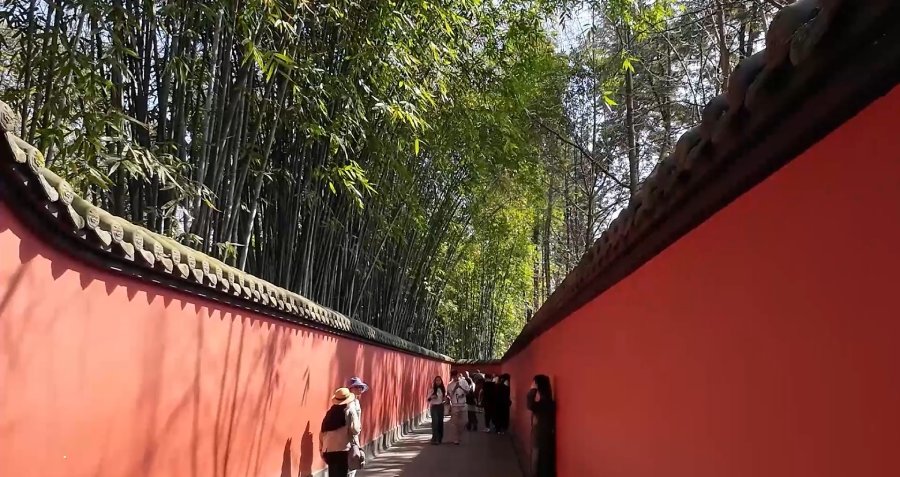 ทางเดินทิวไผ่แดง