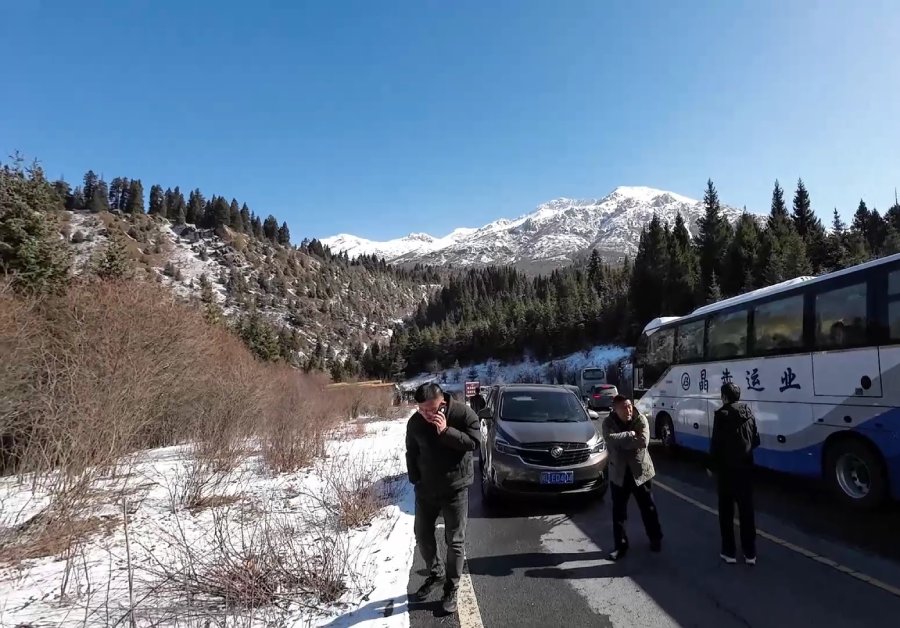 ระหว่างรถจอดบนภูเขาหิมะและป่าสน