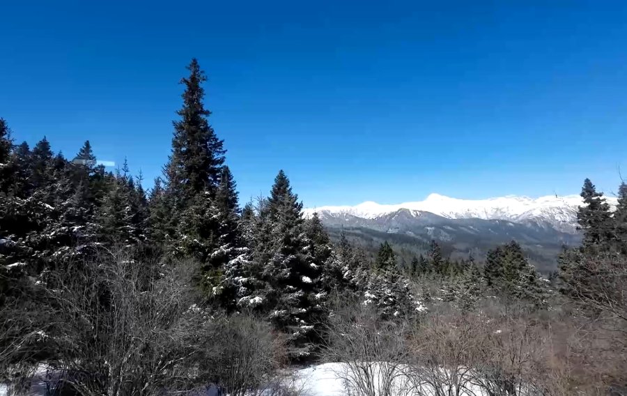 วิวบนเขา ป่าสน และหิมะ ระหว่างทางเดินทางกลับจากจิ่วจ้ายโกว ไปยังสถานีรถไฟ