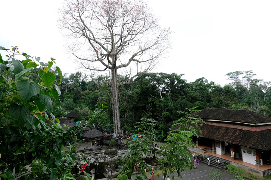 Goa Gajah temple, Ubud, Bali วัด Goa Gajah อุบุด บาหลี ประเทศอินโดนีเซีย