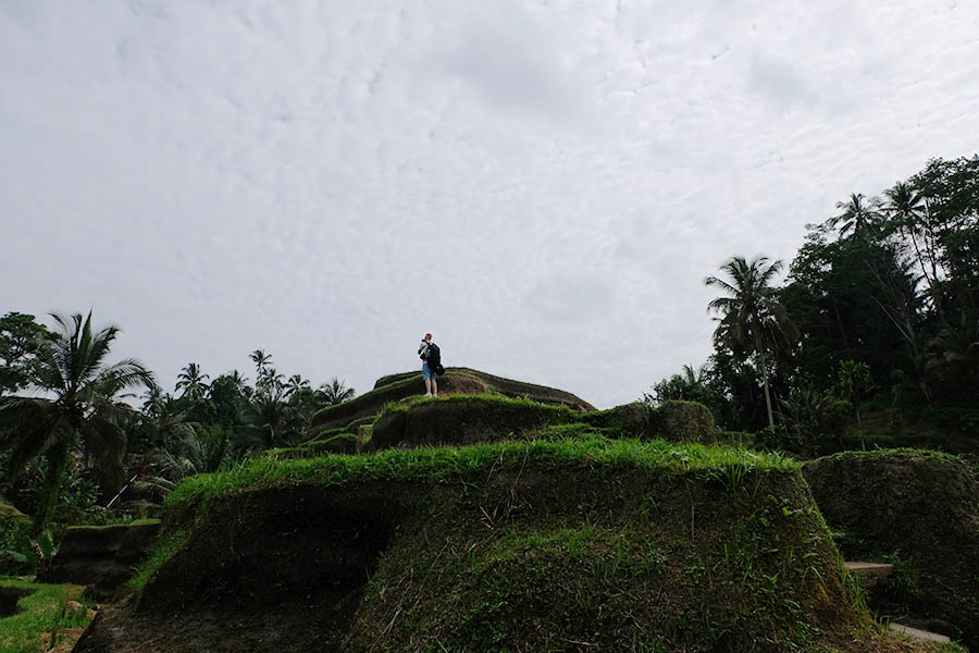 วิว Mupu Rice Terrace ในโซนทุ่งนาขั้นบันได Tegallalang ใกล้ Ubud , Bali อุบุด บาหลี