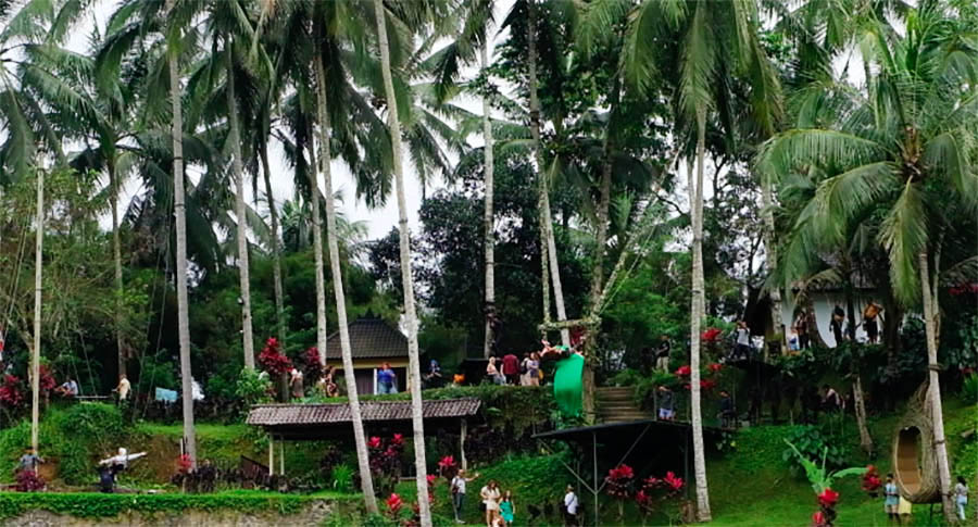 คนเล่นชิงช้า พร้อมชุดราตรียาว ที่นาขั้นบันได บาหลี a person wearing long dress having photoshoot at the swing near rice field in Bali