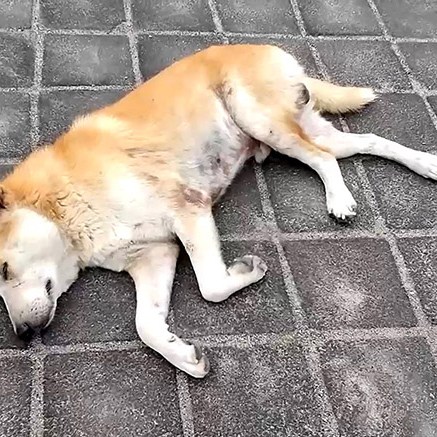 บรรยากาศ แถบท่าเรือ ที่เกาะ Nusa Penida, Bali
