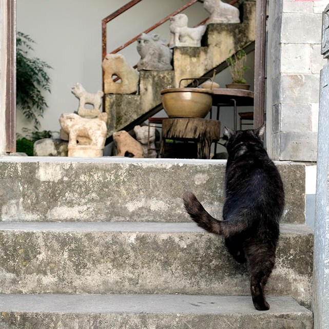 Dali Ancient City, Yunnan, China เมืองเก่าต้าหลี่ มณฑลยูนนาน ประเทศจีน