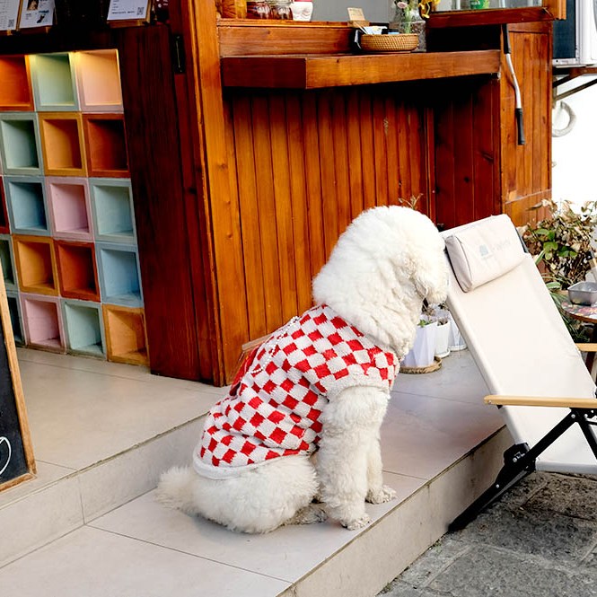 Dali Ancient City, Yunnan, China เมืองเก่าต้าหลี่ มณฑลยูนนาน ประเทศจีน