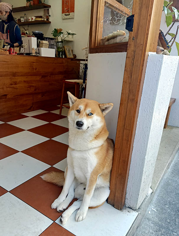 Dali Ancient City, Yunnan, China เมืองเก่าต้าหลี่ มณฑลยูนนาน ประเทศจีน
