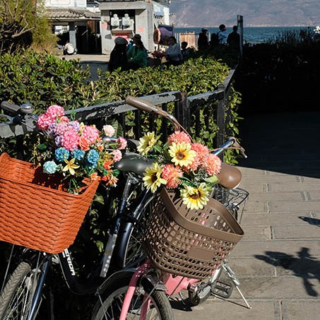 bicycles for rent at Erhai lake, Dali, Yunnan, China จักรยานให้เช่าริมทะเลสาบเอ๋อร์ไห๋ เมืองต้าหลี่ มณฑลยูนนาน ประเทศจีน
