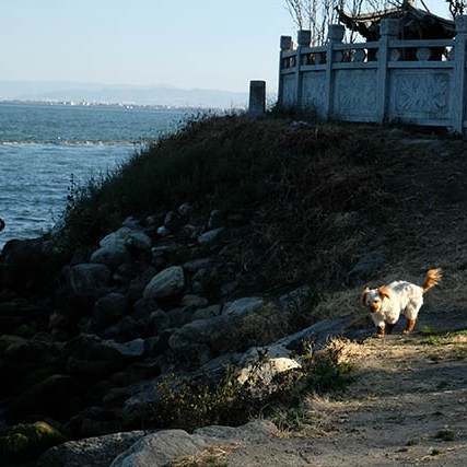 Erhai lake, Dali, Yunnan, China ทะเลสาบเอ๋อร์ไห๋ เมืองต้าหลี่ มณฑลยูนนาน ประเทศจีน