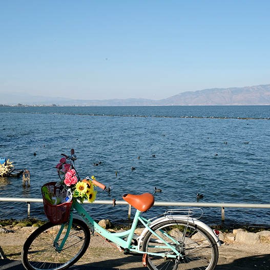 bicycles for rent at Erhai lake, Dali, Yunnan, China จักรยานให้เช่าริมทะเลสาบเอ๋อร์ไห๋ เมืองต้าหลี่ มณฑลยูนนาน ประเทศจีน