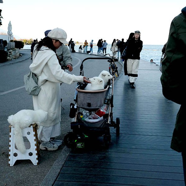 atmosphere at Panxi S-curve, Erhai lake, Dali, Yunnan, China บรรยากาศที่หมู่บ้าน Panxi บริเวณ S-curve ริมทะเลสาบเอ๋อร์ไห๋ เมืองต้าหลี่ มณฑลยูนนาน ประเทศจีน